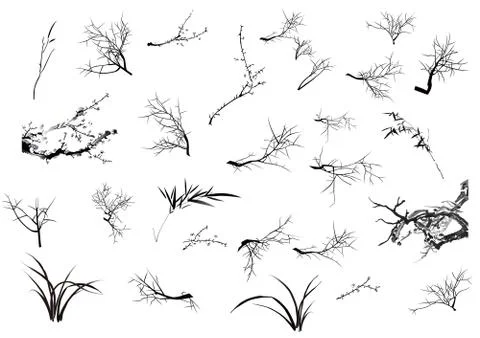 Branch collection Stock Illustration