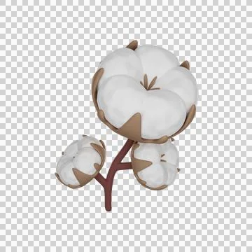 Branch of cotton 3D Stock Illustration