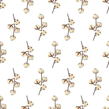 Branch with cotton ball seamless pattern in vintage style on white background. Stock Illustration