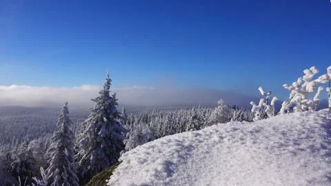 Branch covered snow sway in wind. Karkonosze mountains in clouds against blue Stock Footage 318387061