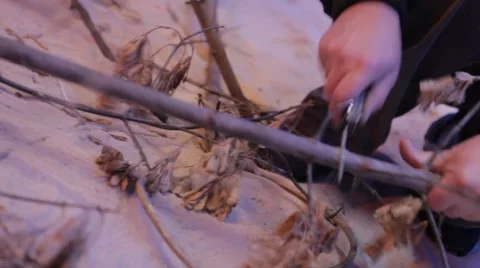 Branch cut with a penknife Stock Footage 44219949
