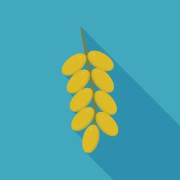 Branch of date palm fruit icon in flat long shadow design Stock Illustration