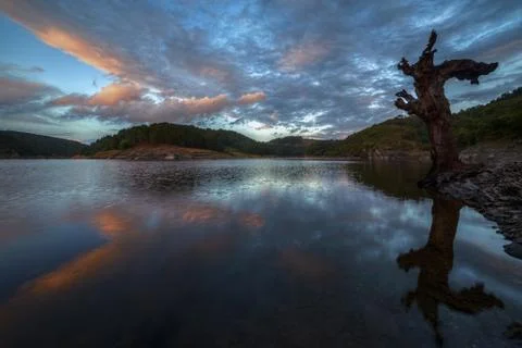 The branch of a dead tree and a cloudy sunset Stock Photos