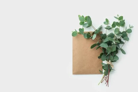 A branch of eucalyptus with a craft envelope on a white isolated background Stock Photos
