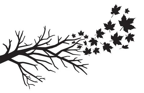 Branch with falling leaves Stock Illustration