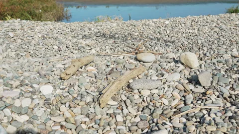 Branch falls onto pebbles on the beach. Short stick fall as construction gravel Stock Footage 336586860