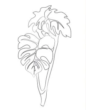 Branch of a flower, lines, vector, Illustrazione stock