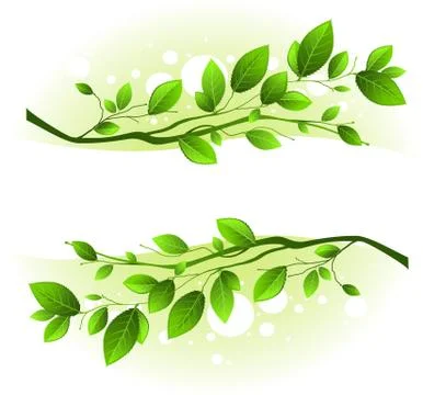 Branch frame Stock Illustration