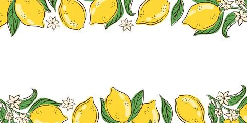 Branch frame with lemon, leaf and blossom flower in flat style on a white Stock Illustration