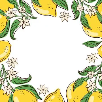 Branch frame with lemon, leaf and blossom flower in flat style on a white Stock Illustration