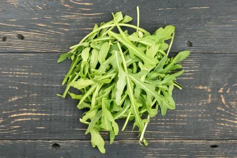 Branch of fresh arugula Stock Photos