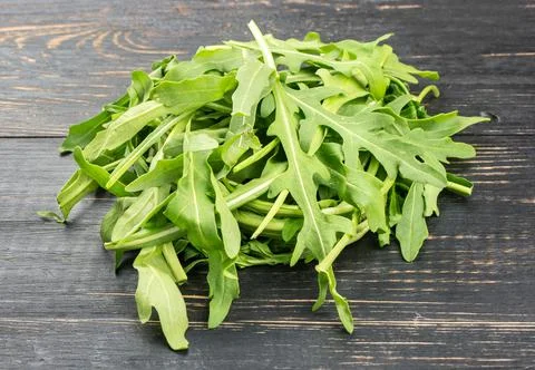 Branch of fresh arugula Stock Photos