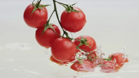 Branch of fresh red cherry tomatoes falls into water. Wet cherry tomatoes with 스톡 동영상 237247674