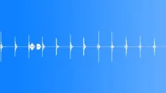 Branch, green leaves, hit, beat, strike, rustle, x12Sound Effect