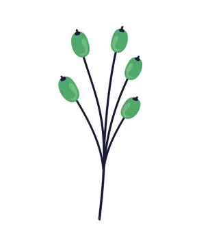 Branch with green pistils Stock Illustration