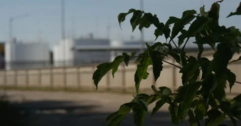 A Branch of a Green Tree Swinging in the Wind, With Oil Storage Facilities, Stock Footage 53080653