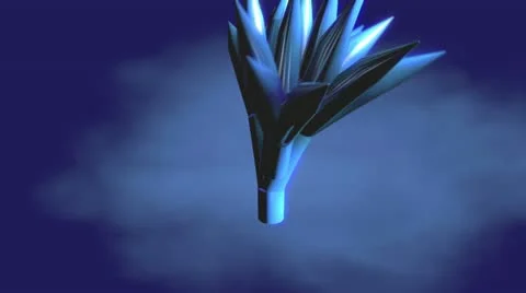 Branch grow Stock Footage 18197141