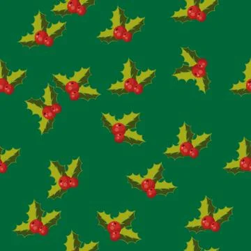 Branch of holly Stock Illustration