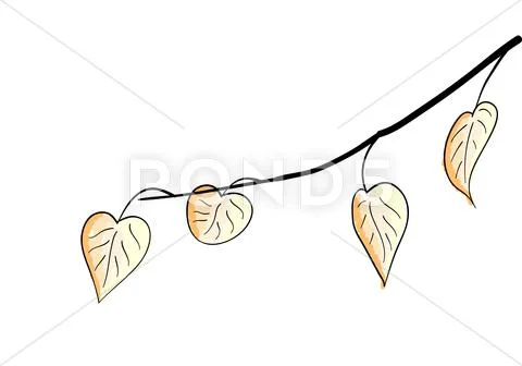 Branch Stock Illustration