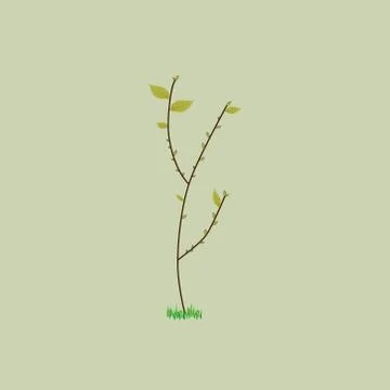 Branch Stock Illustration