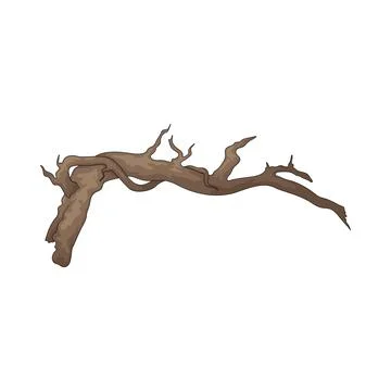 Branch illustration 스톡 일러스트