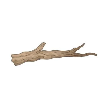 Branch illustration Stock Illustration