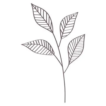 Branch with leafs Stock Illustration