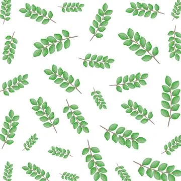 Branch with leafs pattern 스톡 일러스트