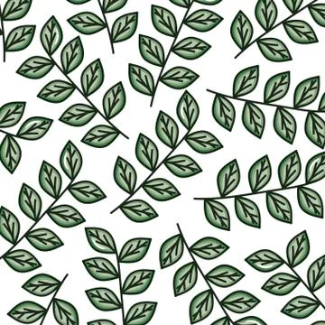 Branch with leafs plants ecology pattern Stock Illustration