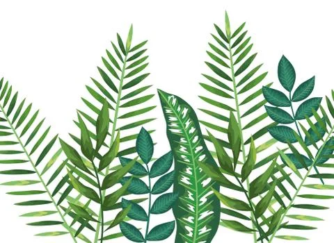 Branch with leafs plants pattern background Stock Illustration