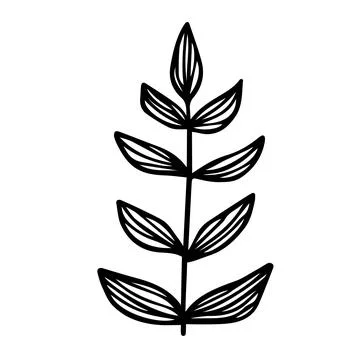 Branch with leaves. Hand drawn black doodle outline silhouette of plant twig Stock Illustration