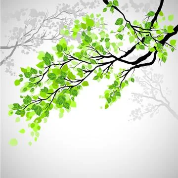 Branch with leaves Stock Illustration