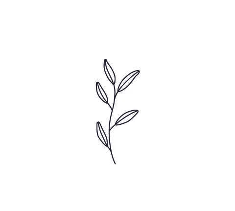 Branch leaves Stock Illustration