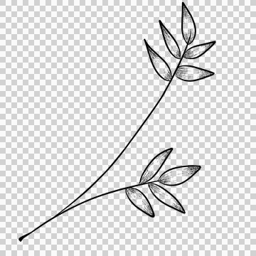 Branch leaves  illustration Stock Illustration