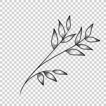 Branch leaves  illustration Stock Illustration