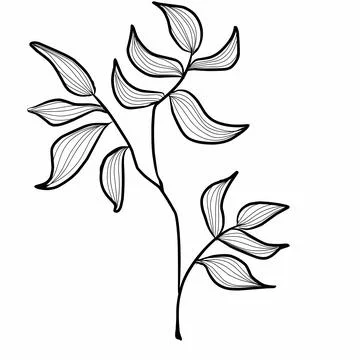 Branch leaves  illustration Stock Illustration