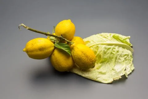 Branch with lemons on a vegetable leaf Stock Photos