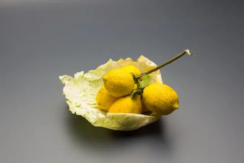 Branch with lemons on a vegetable leaf Stock Photos