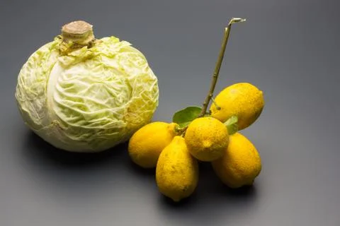 Branch with lemons on a vegetable leaf Stock Photos