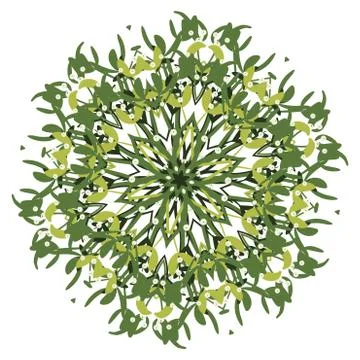 Branch of mistletoe Illustrazione stock
