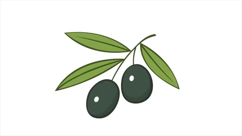 Branch of olive with green leaves Stock Footage 238701185