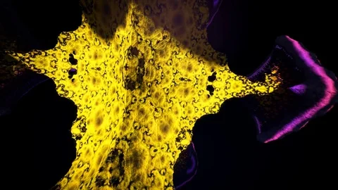 Branch Out Looping Animation Stock Footage 73282105