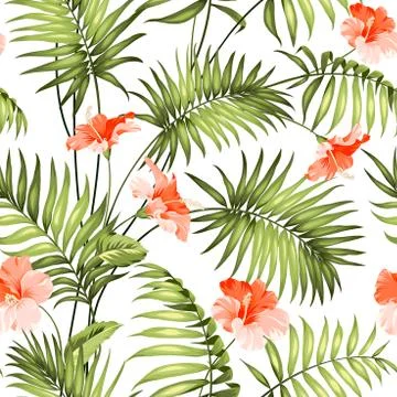 The branch of a palm tree Stock Illustration