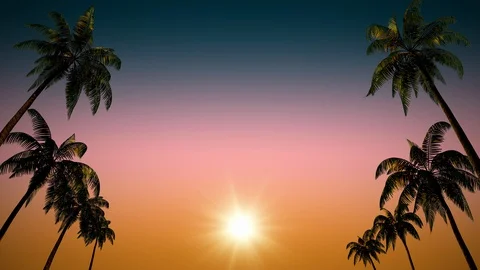 Branch with palm tree leaves on a background of sea and clouds. Stock Footage 127815866