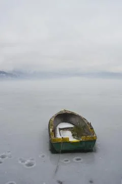 A branch of pine tree  in a boat Foto stock