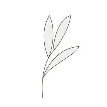 Branch of plant, vector illustration Illustrazione stock