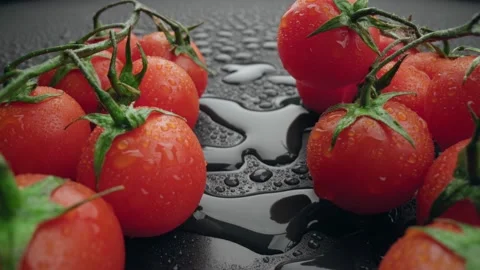 Branch of red cherry tomatoes on black background with water drops. Fresh Video stock 237247891