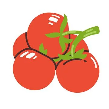 Branch of red cherry tomatoes isolated on a white background. Flat modern v.. Stock Illustration