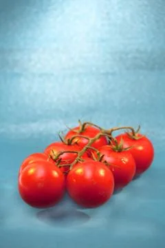 A branch of red tomatoes on a blue background Stock Photos