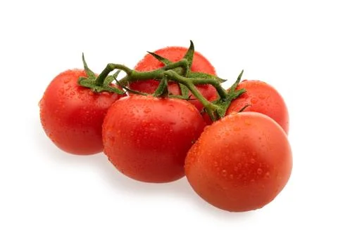 Branch of red tomatoes Stock Photos